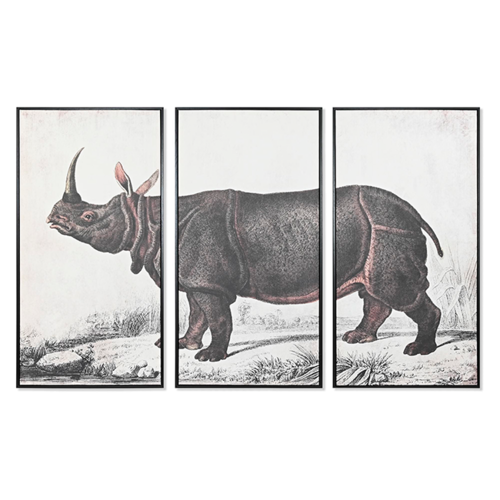Set cuadros Rinoceronte