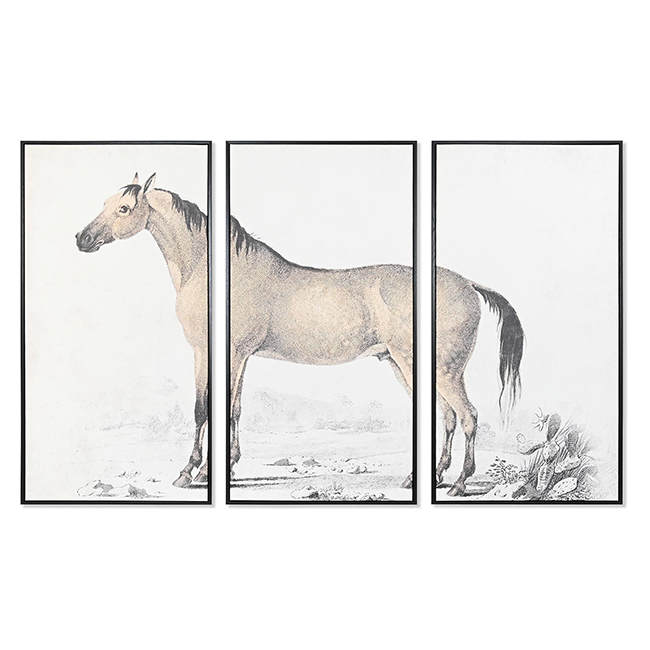 Set cuadros Caballo