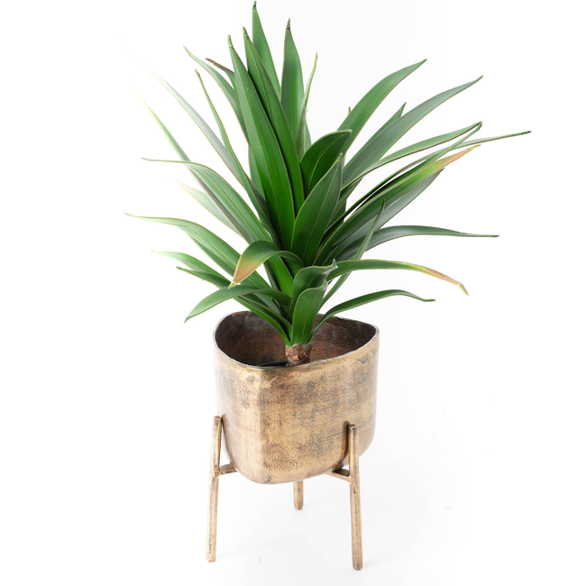 Taburete GOLD
