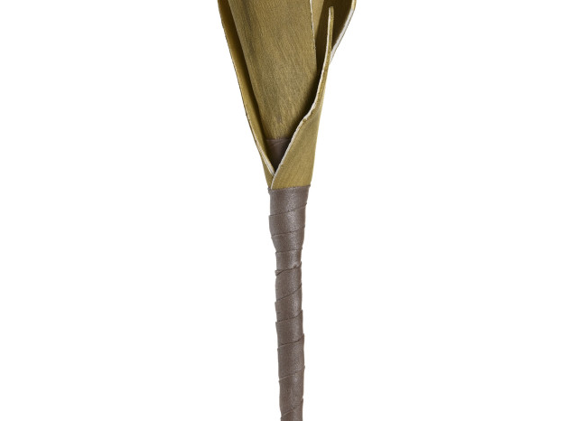 Planta eva RAMIEL 