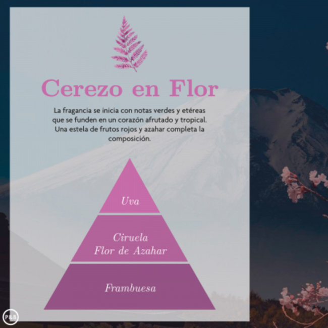 Spray CEREZO EN FLOR 225 ml 
