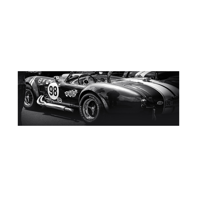 Cuadro cristal CLASICO COBRA.