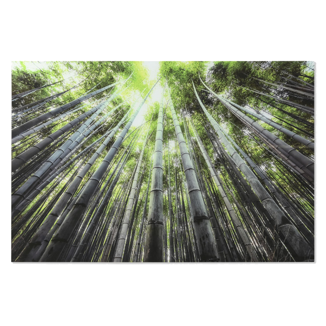 Cuadro BAMBOO