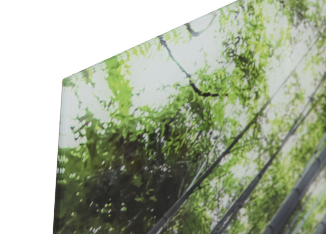 Cuadro BAMBOO