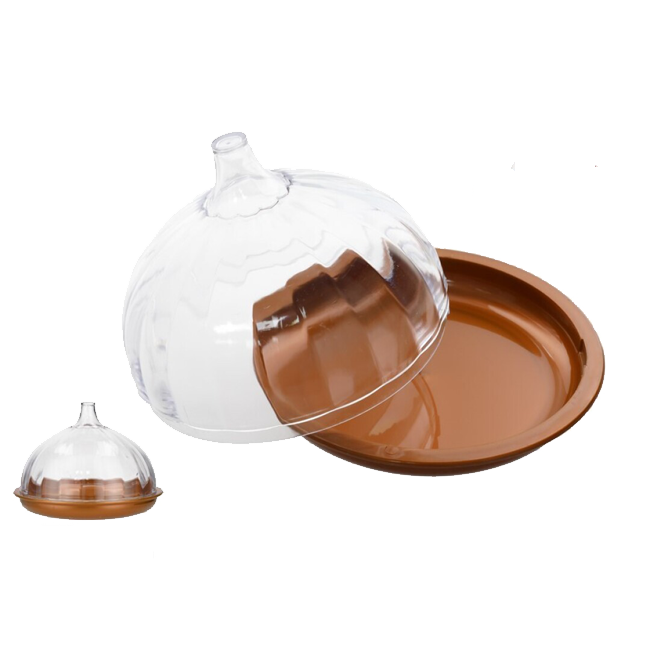 Envase CEBOLLA 