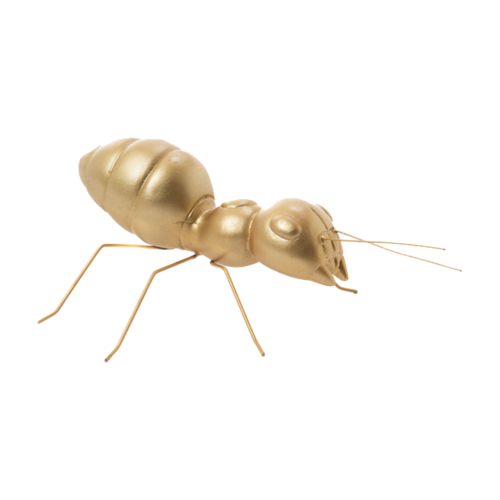 Hormiga FOURMIS