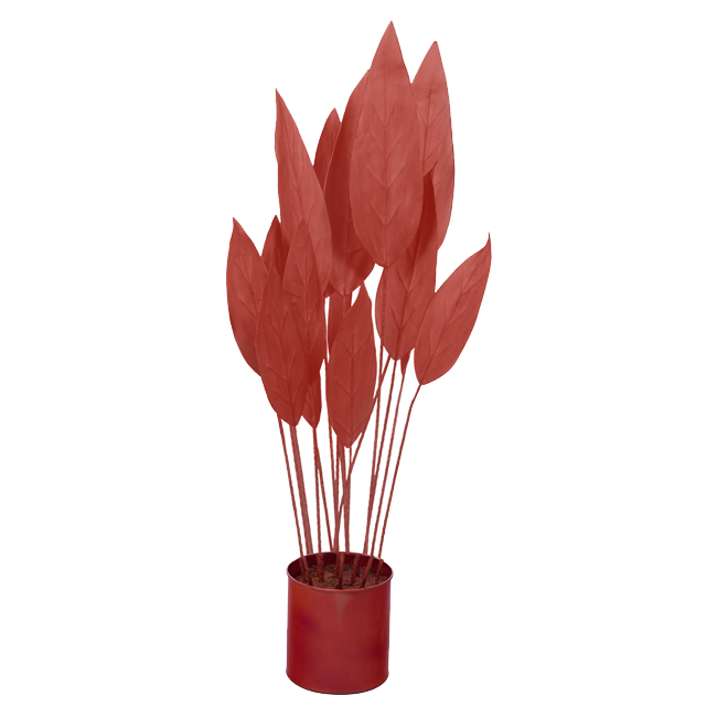 Strelitzia BRIQUE 180 cm