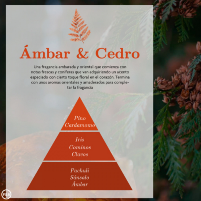 Esencia Humidificador AMBAR Y CEDRO 
