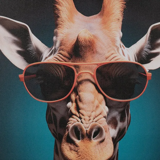 Cuadro ANIMALES COLOR