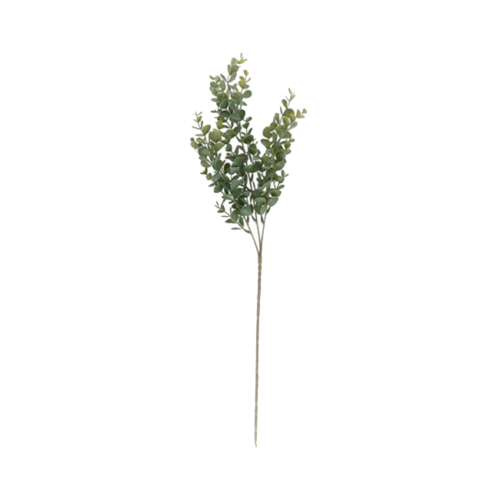 Vara EUCALIPTO 66 cm