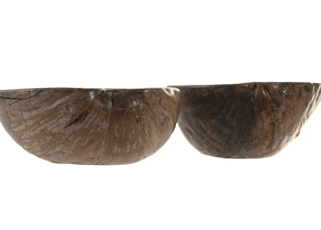 Vaciabolsillos CAPIZ 