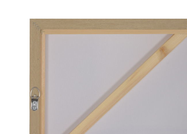 Cuadro SOMBRERO CACTUS 