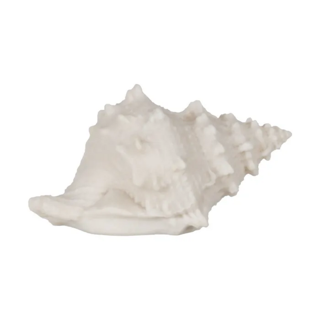 Lámpara CONCHA arenisca
