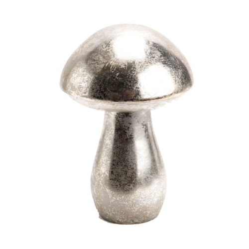 Champiñon ARGENTE