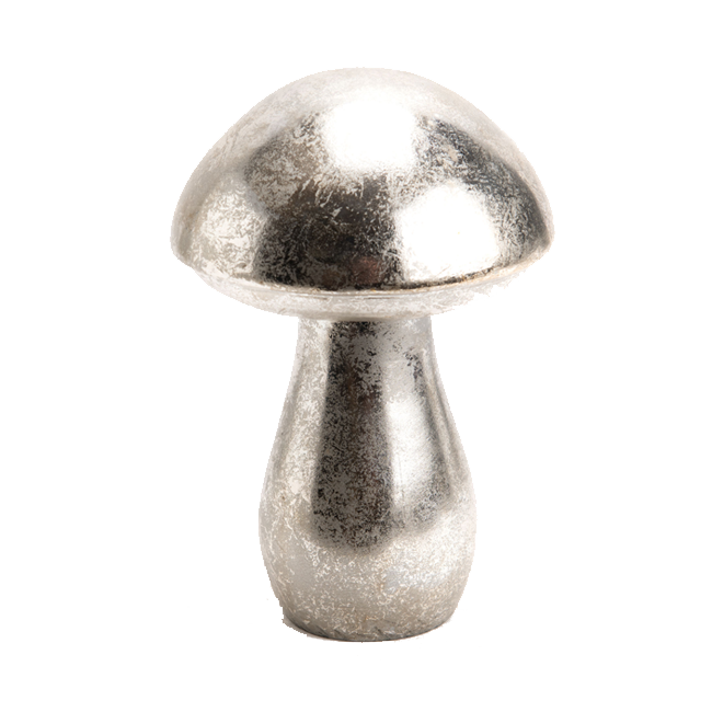 Champiñon ARGENTE