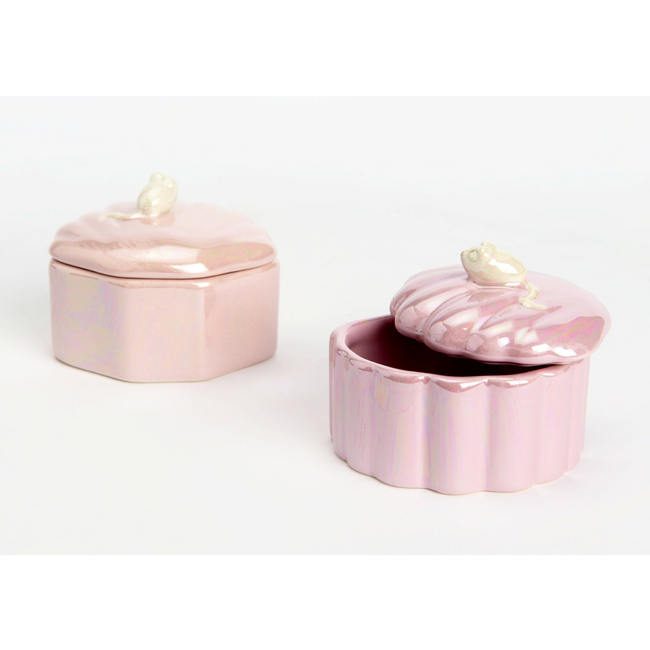 Caja dientes coquillage