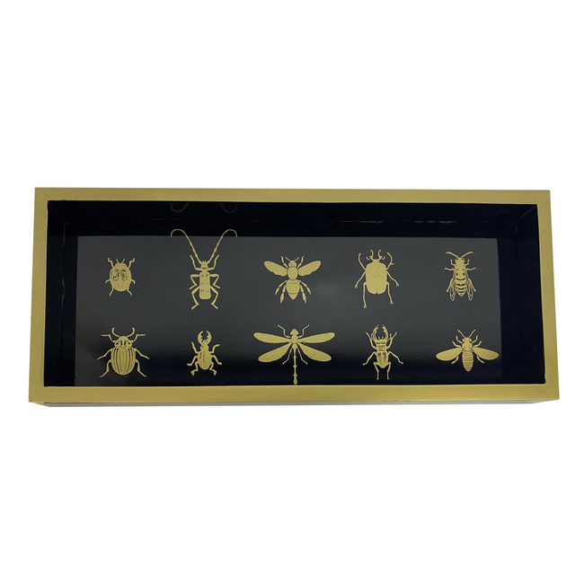 Bandeja decoración Insectos
