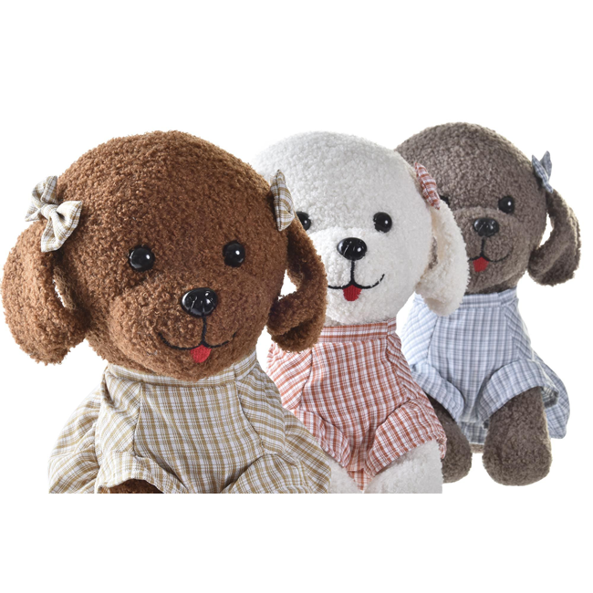 Caniche Kids